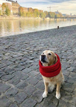 New Pet Kit Collection - Coming Soon