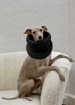 New Pet Kit Collection - Coming Soon