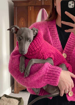 Scooby Sweater Kit für Haustiere – Yummy Version