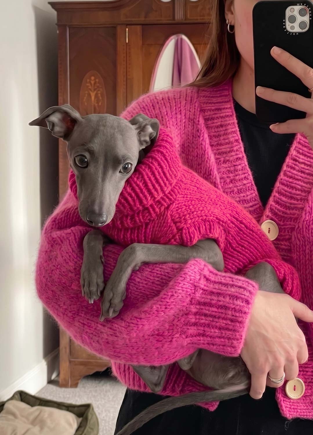 Scooby Sweater Kit für Haustiere – Yummy Version