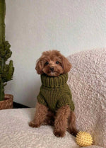 Scooby Sweater Kit für Haustiere – Yummy Version