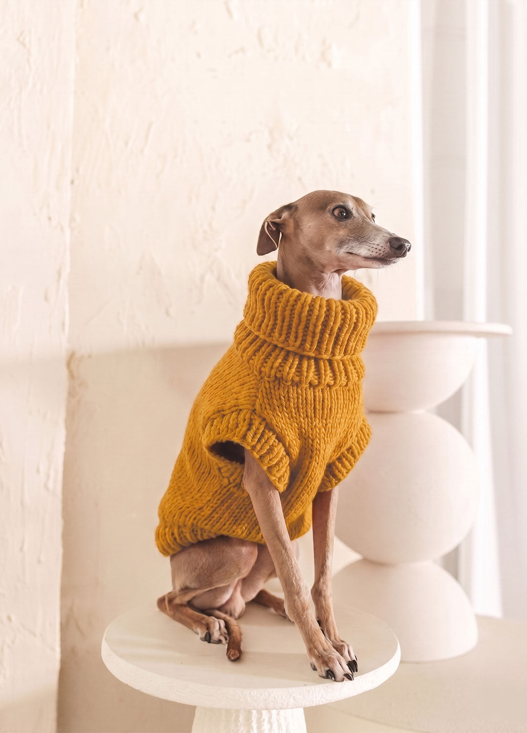 Scooby Sweater Kit für Haustiere – Yummy Version