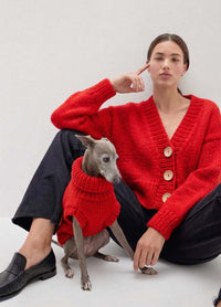 Scooby Sweater Kit für Haustiere – Yummy Version